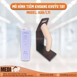 Mô Hình Tiêm Vào Khoang Khuỷu Tay