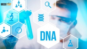 Kỹ Thuật Tách Chiết DNA Trong Phòng Thí Nghiệm Chi Tiết