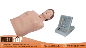Mô hình thực hành sơ cứu nhựa