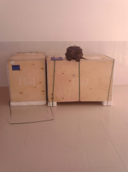 Trang thiết bị y tế tại H.Long Điền, tỉnh Bà Rịa Vũng Tàu