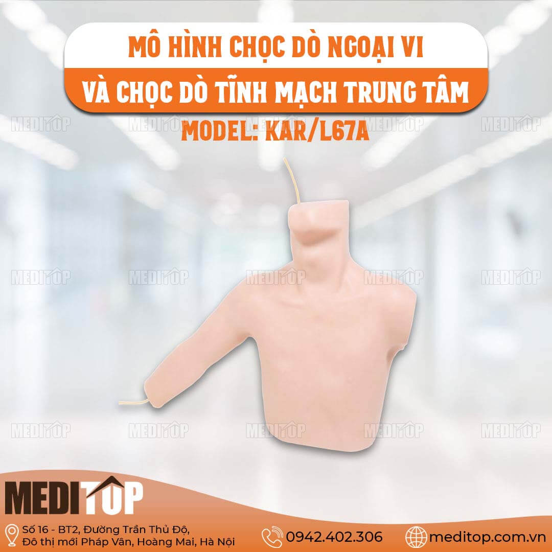 Mô Hình Chọc Dò Ngoại Vi Và Chọc Dò Tĩnh Mạch Trung Tâm