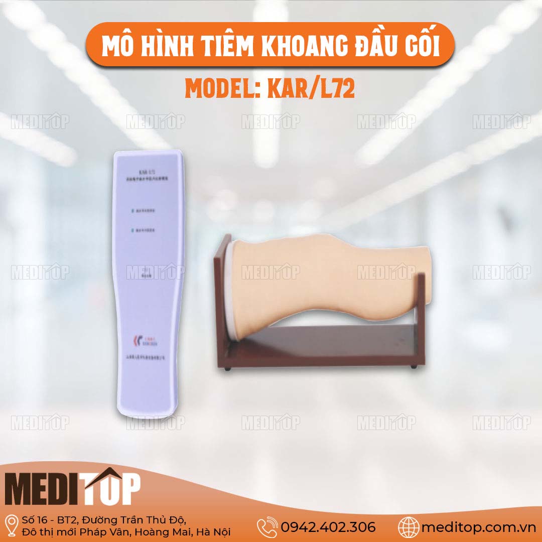 Mô Hình Tiêm Vào Khoang Đầu Gối