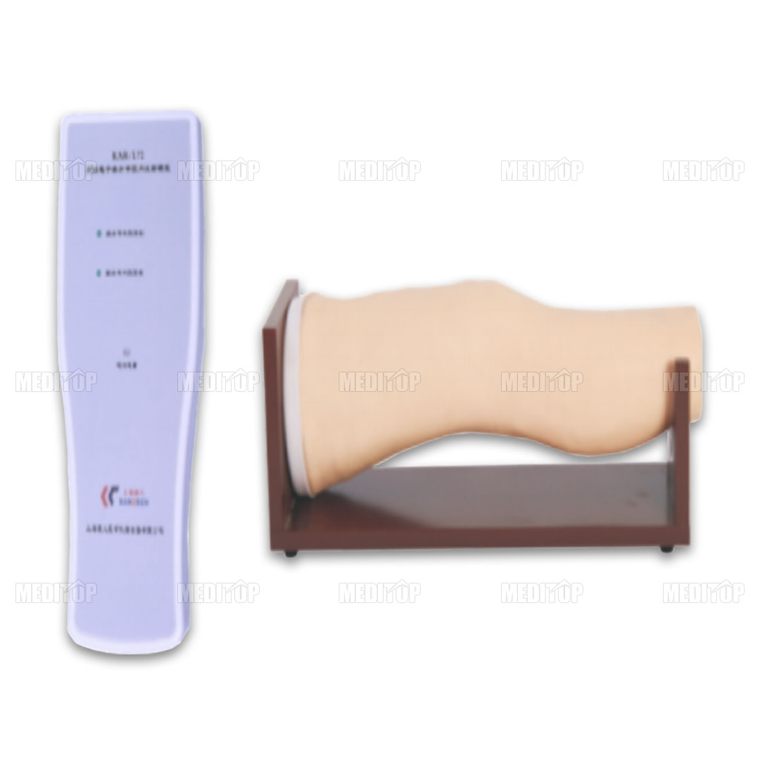Mô Hình Tiêm Vào Khoang Đầu Gối