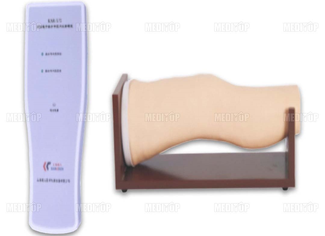 Mô Hình Tiêm Vào Khoang Đầu Gối