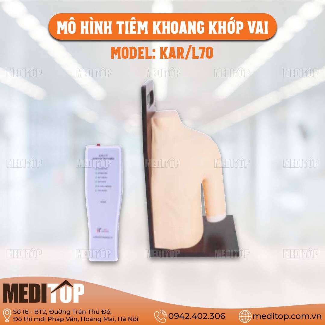 Mô Hình Tiêm Cào Khoang Khớp Vai