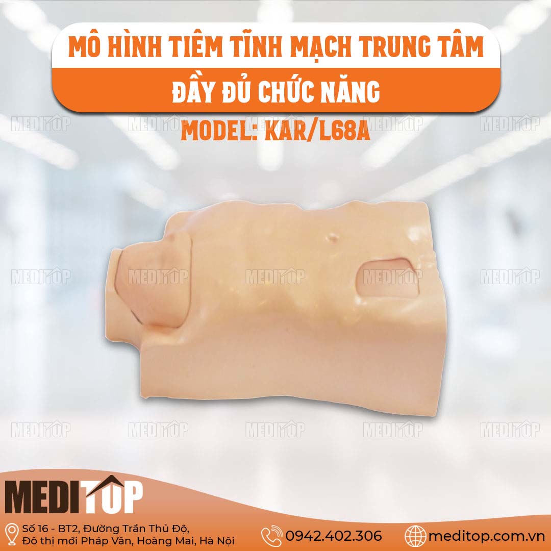Mô Hình Mẫu Torso Tiêm Tĩnh Mạch Trung Tâm Đầy Đủ Chức Năng