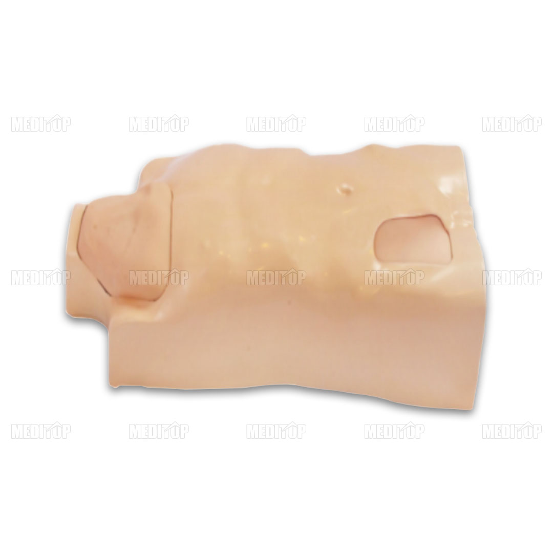Mô Hình Mẫu Torso Tiêm Tĩnh Mạch Trung Tâm Đầy Đủ Chức Năng