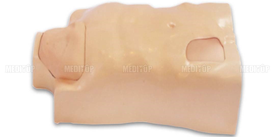 Mô Hình Mẫu Torso Tiêm Tĩnh Mạch Trung Tâm Đầy Đủ Chức Năng