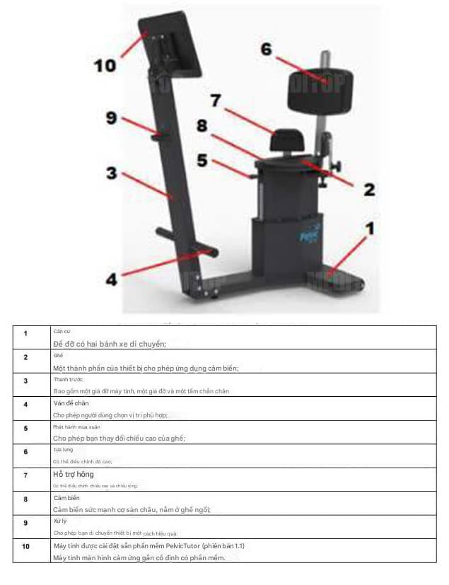 Ứng dụng cơ sàn chậu PelvicTutor