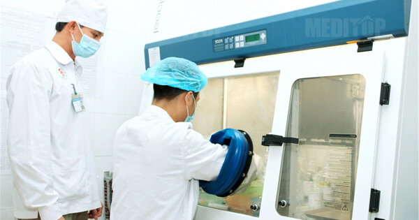 Phân loại theo cấp độ lọc sạch