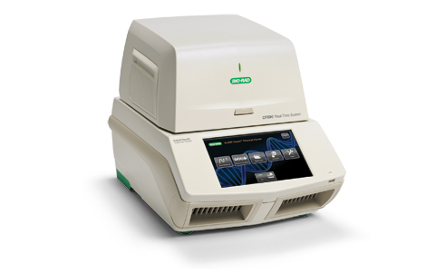 Hệ thống máy PCR - CFX96 Touch