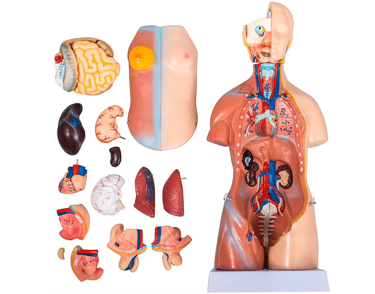 Vật liệu chất lượng cao