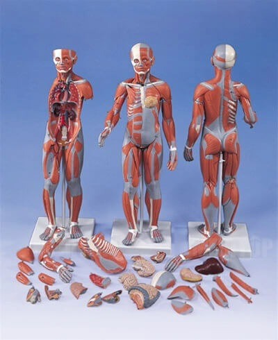 M&ocirc; h&igrave;nh tương t&aacute;c kỹ thuật số