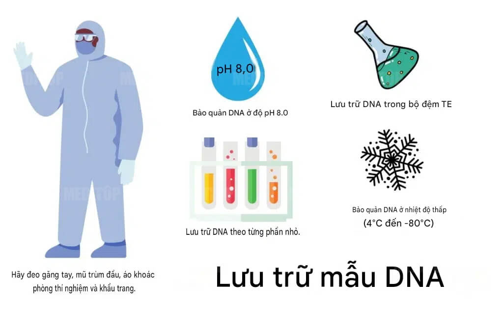 Bảo quản mẫu ADN và ARN phục vụ nghiên cứu di truyền