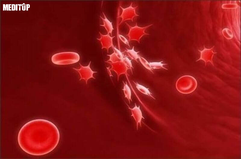 Bảo quản máu tiểu cầu