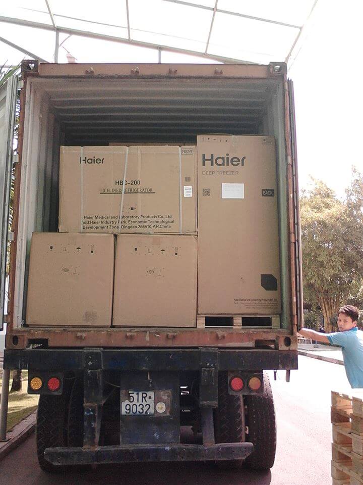 Hàng về nguyên container 02