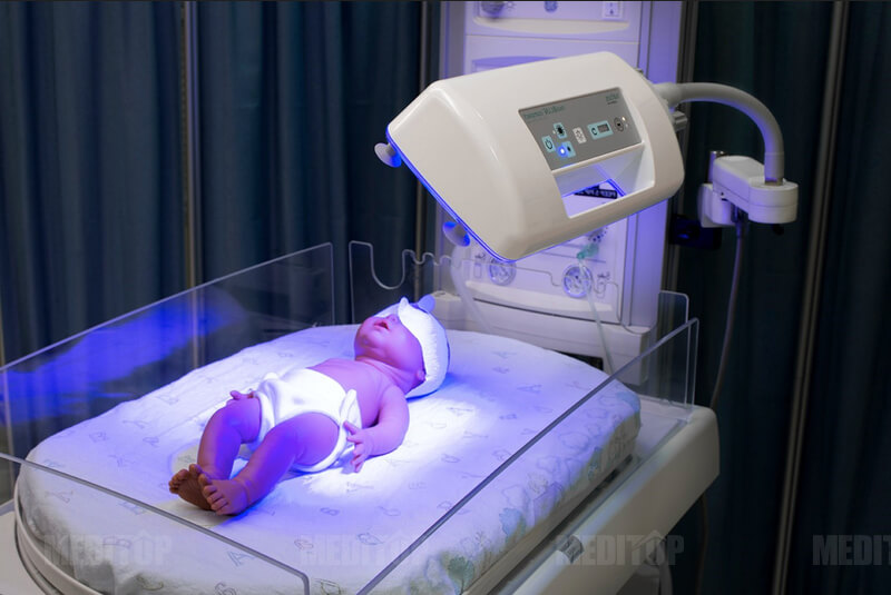 Cơ chế hoạt động khoa học